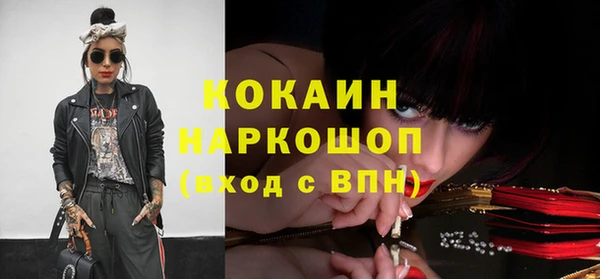 трава Коряжма