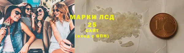 трава Коряжма