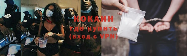 трава Коряжма