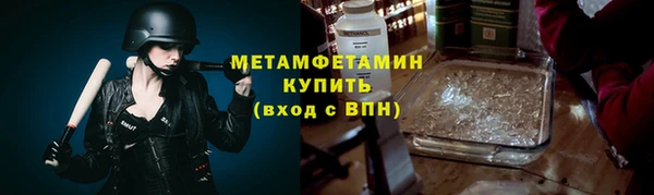 трава Коряжма