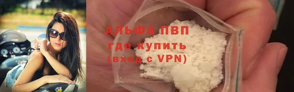 трава Коряжма