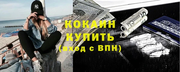 трава Коряжма