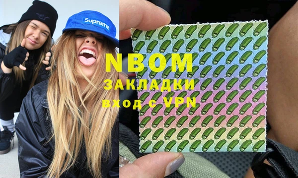 трава Коряжма